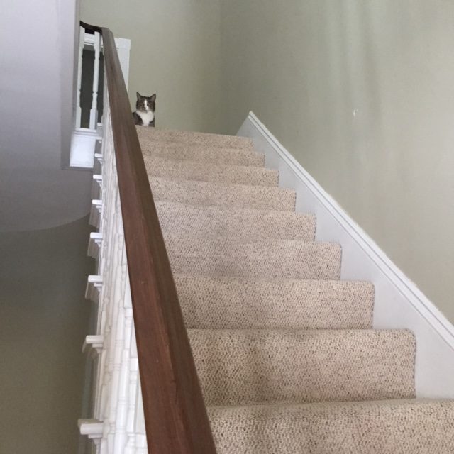 Luxury Barn Wedding Venue in Maine