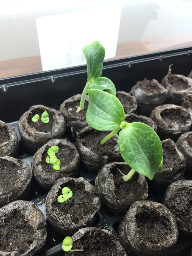 Luxury Barn Wedding Venue in Maine