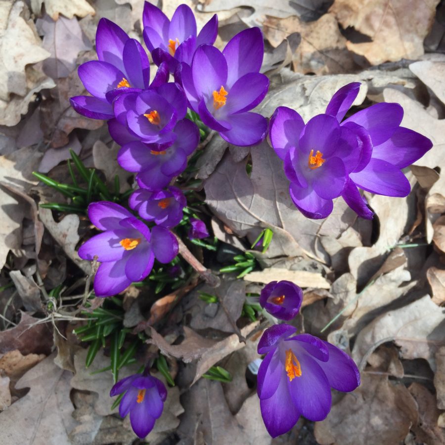 Luxury Barn Wedding Venue in Maine