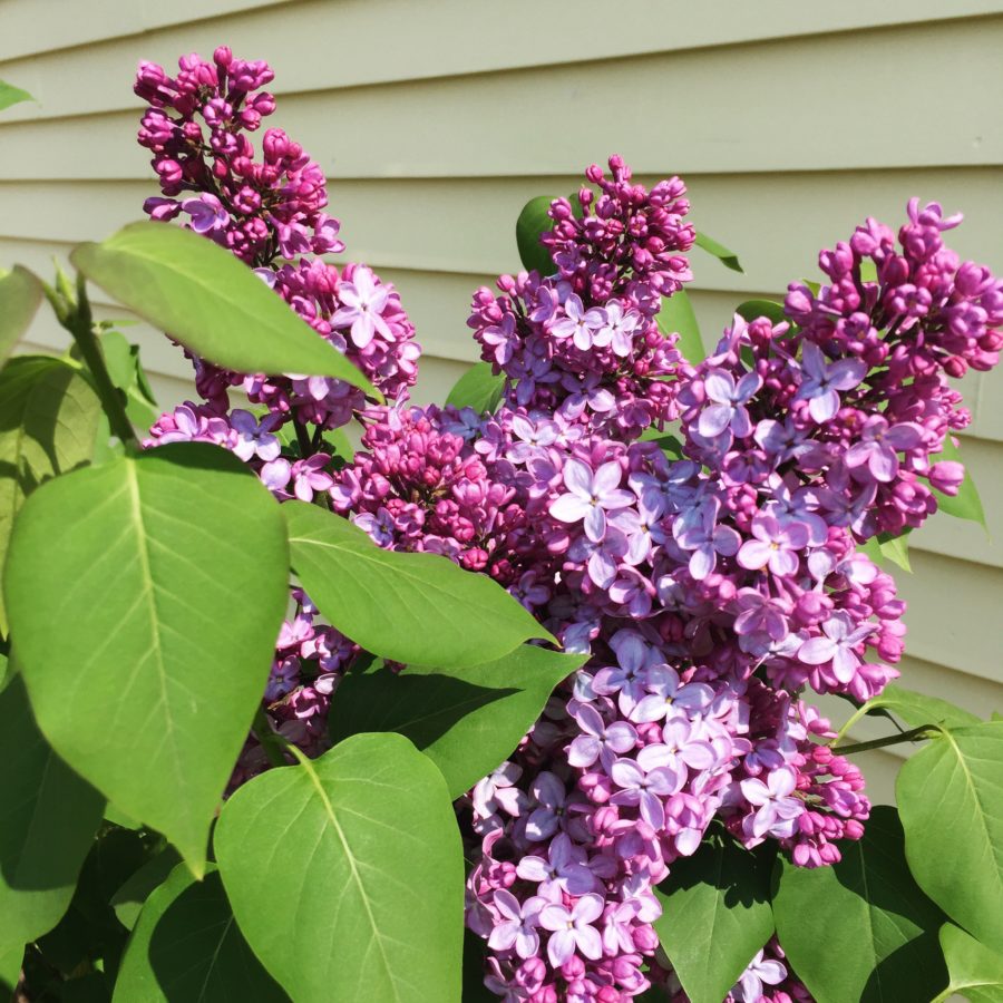 Luxury Barn Wedding Venue in Maine