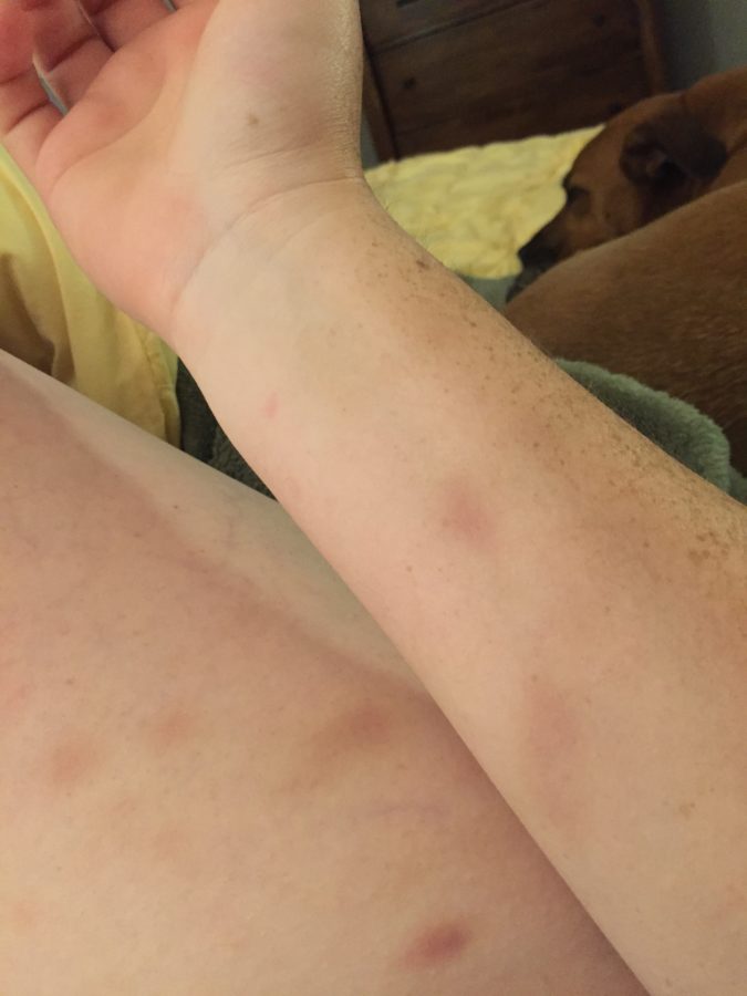 Luxury Barn Wedding Venue in Maine