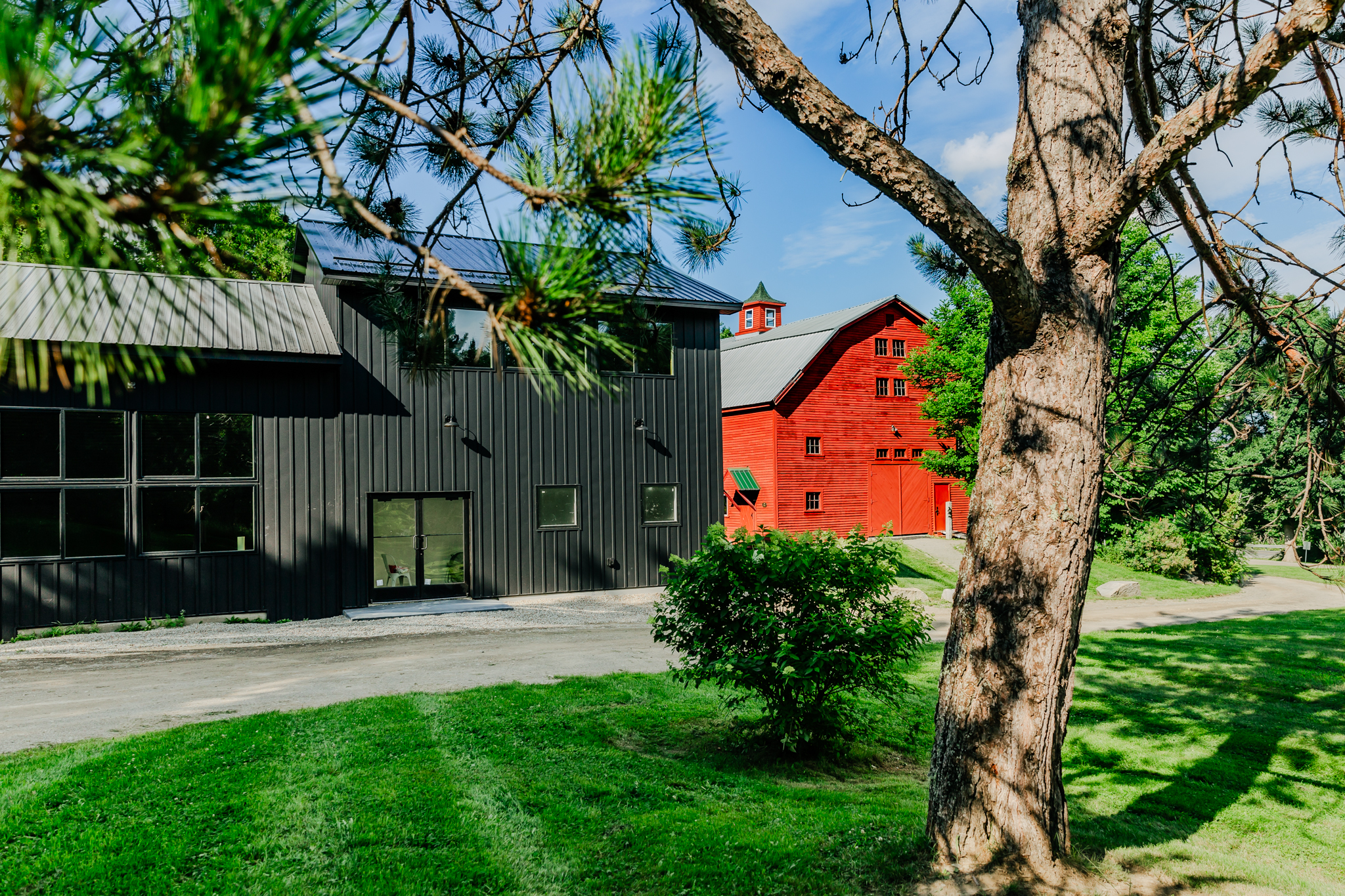 Modern wedding venue in Maine. Wintergreen Loft is an industrial open space warehouse loft with greenhouse vibes